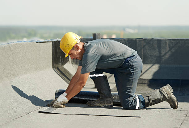 Best Specialty Insulation in East Flat Rock, NC