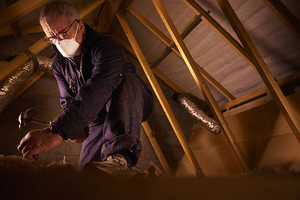 Best Commercial Insulation in East Flat Rock, NC